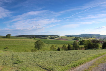 Wald und Flur