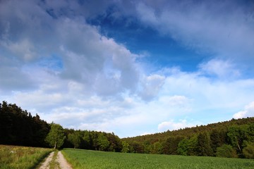 Naklejka premium Wald und Flur