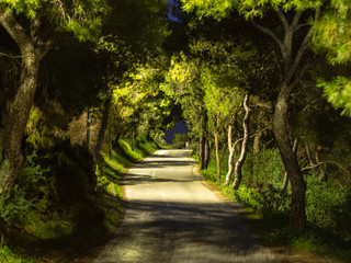 Amazing Greece, charming Athens.