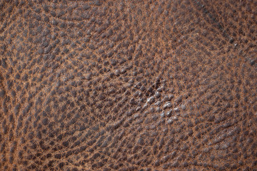 Textura de cuerpo arrugada