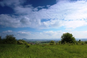 Wald und Flur