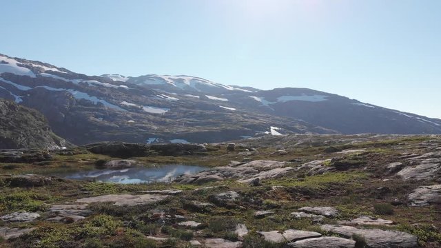 Owce w Norwegii