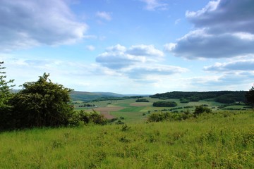 Fototapeta premium Wald und Flur