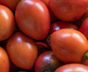 Fototapeta na wymiar Tamarillo, egg-shaped edible fruit, also called tree tomato, tomate de arbol, tomate andino, tomate serrano, tomate de yuca