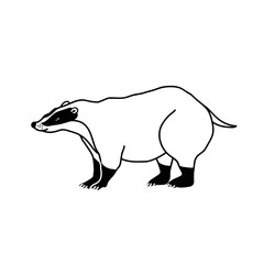Badger vector illustration. Hand drawn american forest animal.