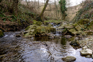 Water stream river mountain creek flowing over rocks, Papuk, Croatia