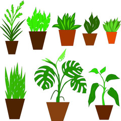 Obraz premium set of color images of flowerpots and houseplants