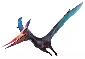  Pteranodon flying dinosaur 3D illustration © warpaintcobra