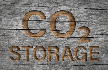Co2 storage text in wood natural storage of carbon dioxide emission