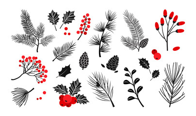 Christmas vector plants, holly berry, christmas tree, pine, leaves branches, holiday decoration, winter symbols isolated on white background. Red and black colors. Vintage nature illustration