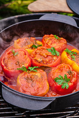 grilled stuffed pepper with tomato sauce
