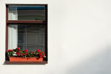 window with red flowers on  white wall, red potted flowers decorate building