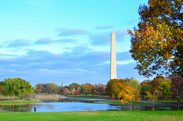 Washington D.C. in autumn foliage - A view from Constitution Garden in the fall - Washington D.C....
