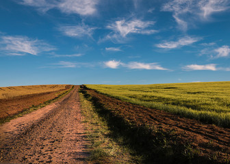 Fototapeta na wymiar paisagem rural com estrada, campos de plantação e céu azul ao fundo