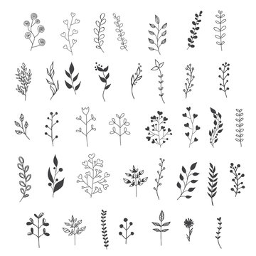 Collection of Hand Drawn Floral Elements. Vector Frames and Leaves, Flowers and Herbs	