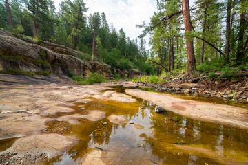 Fry Canyon in Northern Arizona