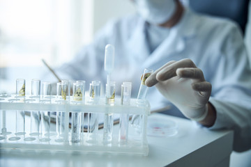 Caucasian male scientist working with hazardous substances