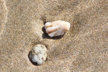 Red Island Indonesia