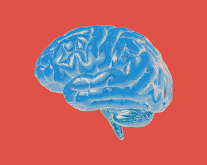 Blue vintage brain illustration on red BG
