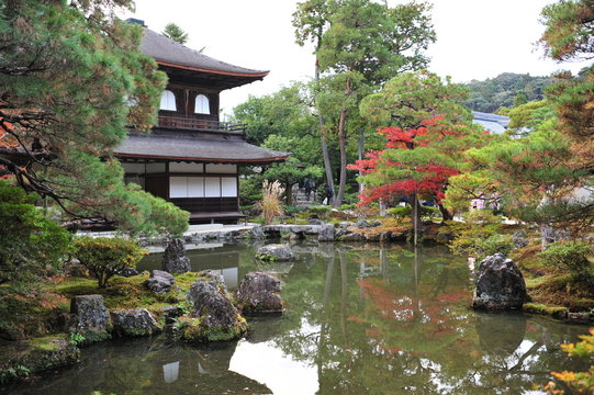 Lovely and beautiful old traditional temple in japan garden during autumn season.