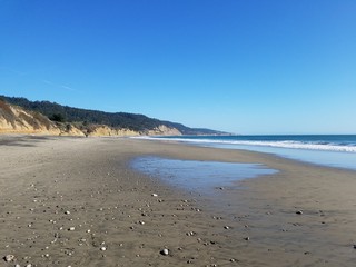 Año Nuevo