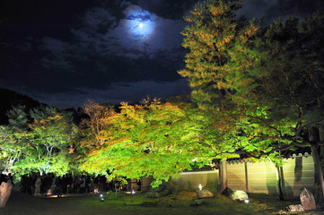 Night scenery of japan garden with illuminated trees and beautiful moon in the sky.