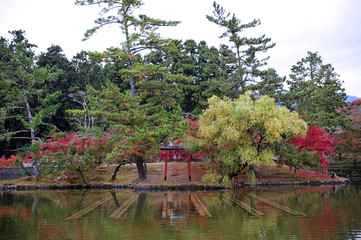 Nice scenery of traditional japanese garden in autumn season.