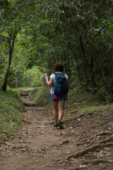 Naklejka na ściany i meble walking on the forest of Cuba