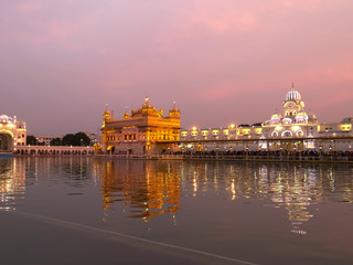 Fototapeta premium golden temple with pink sunset sky in amritsar