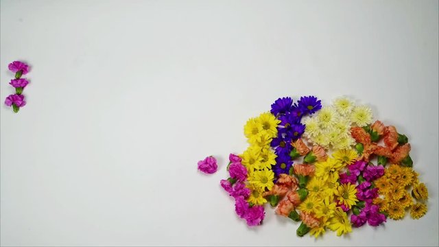 Making Onam Pookalam / flower Rangoli stop motion animation