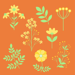 Set of floral elements, Flower vector collection, Flat design, Botanical illustration. Autumn theme, Fall colour palette, yellow, orange, and green.