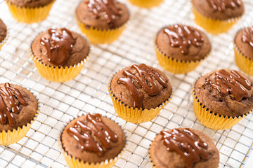 Chocolate raspberry cupcakes