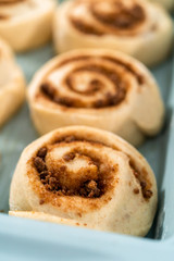 Cinnamon rolls