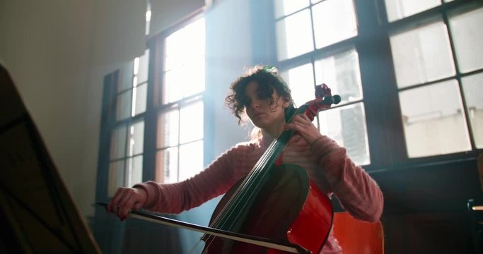 Young musician playing the violin