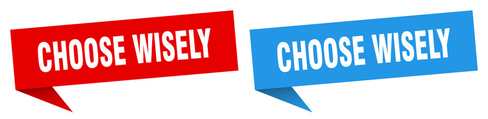 choose wisely banner sign. choose wisely speech bubble label set