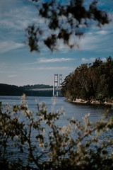 Bridge through the trees