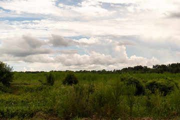 A grassy field in New Orleans, Louisiana with clouds in the sky