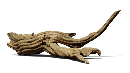 driftwood isolated on white background, aged branch