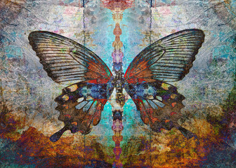 Plakat shaman butterfly 