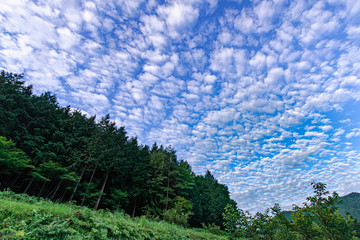 うろこ雲