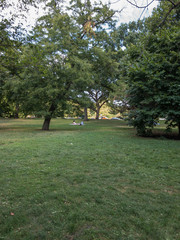 people having picnic in city park surrounded by grass and trees