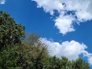 Landscape, cloudscape 