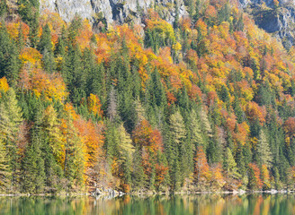 Trees above the water in early autumn