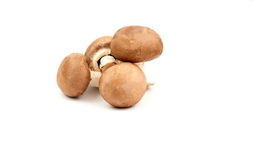 Agaricus bisporus or  portobello mushroom on white background..healthy and benefits of brown mushroom.