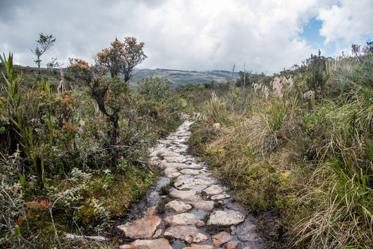 Choachi, Colombia Landscape of Colombian Andean mountains showing paramo type vegetation. Park Called Paramo Matarredonda near Bogota
