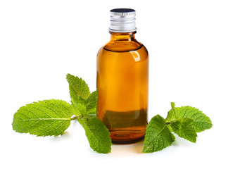 Aromatic mint oil on white background