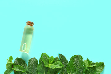 Aromatic mint and essential oil on color background