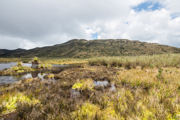 Choachi, Colombia Landscape of Colombian Andean mountains showing paramo type vegetation. Park Called Paramo Matarredonda near Bogota
