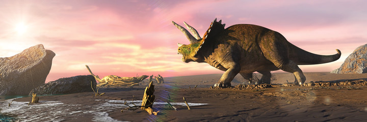 Triceratops horridus dinosaur on the beach