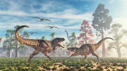 Foto op Plexiglas Dinosaurus T rex fight